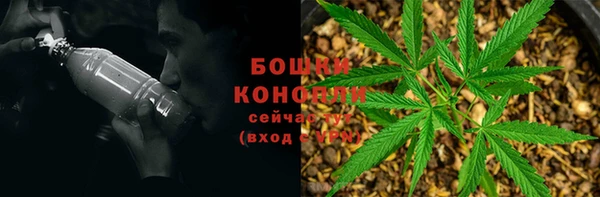 хмурый Белокуриха