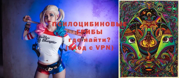 хмурый Белокуриха