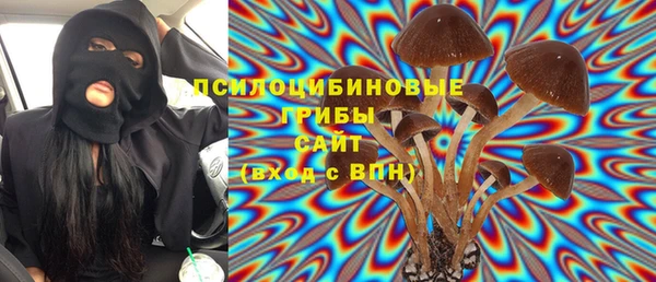 хмурый Белокуриха