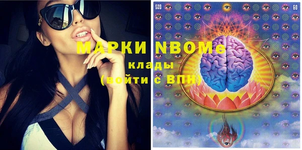 хмурый Белокуриха