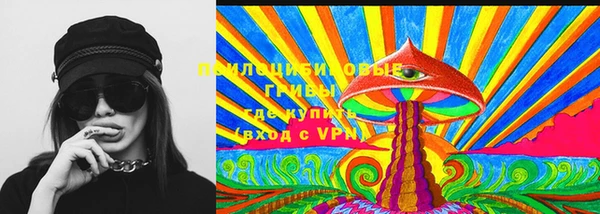 хмурый Белокуриха