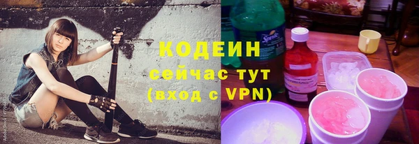 хмурый Белокуриха