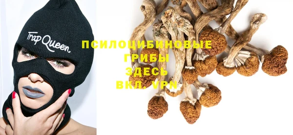 хмурый Белокуриха